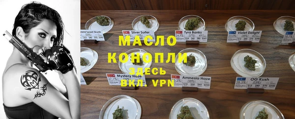 гашик Осташков