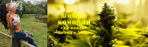 гашик Осташков